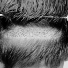 Diseño sin título-13