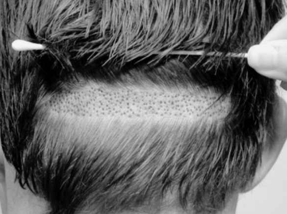 Diseño sin título-15